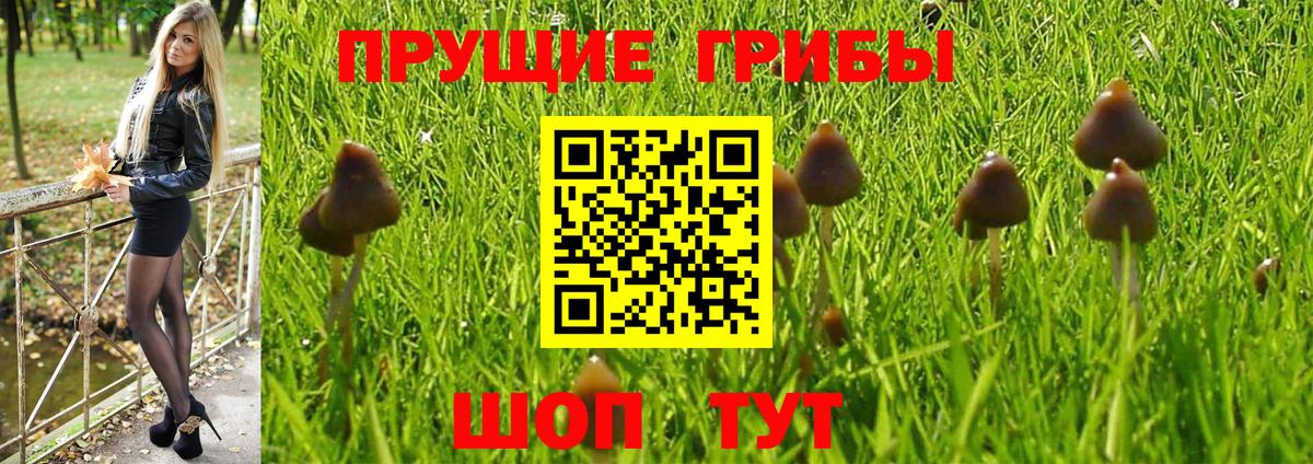 Псилоцибиновые грибы прущие грибы  Псилоцибиновые грибы ЛСД  Вход с VPN  Сургут 