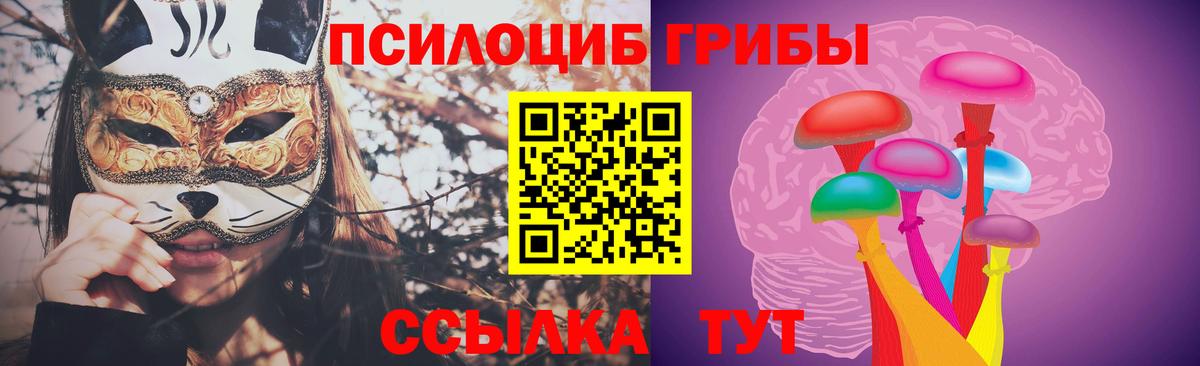 Галлюциногенные грибы Cubensis Сургут